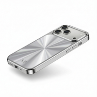 Silver Flashy iPhone Case